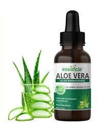 Aloe Vera Oil